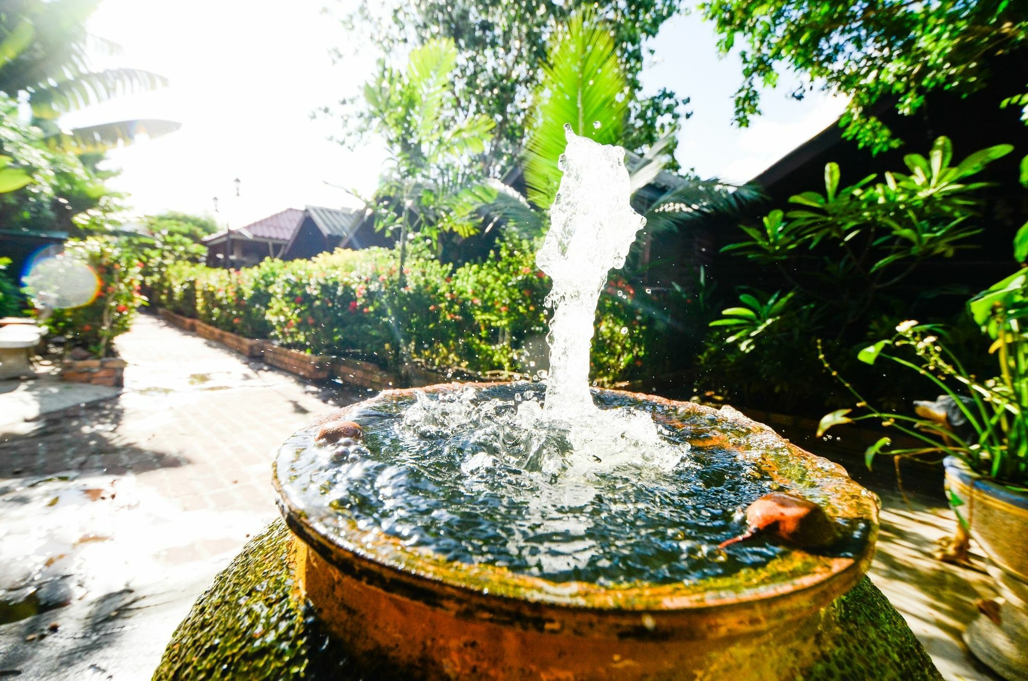 Nid'S Bungalows Чавенг Экстерьер фото